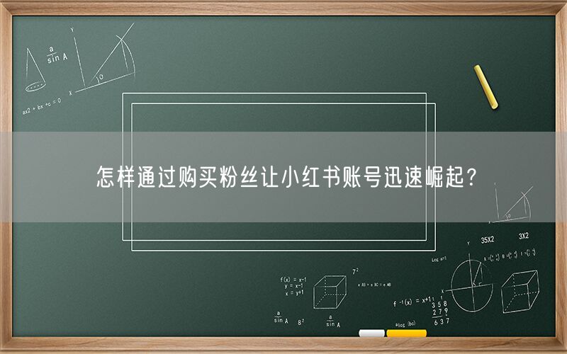 怎样通过购买粉丝让小红书账号迅速崛起？